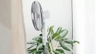 Este ventilador rebajado es capaz de refrescar tu casa en minutos