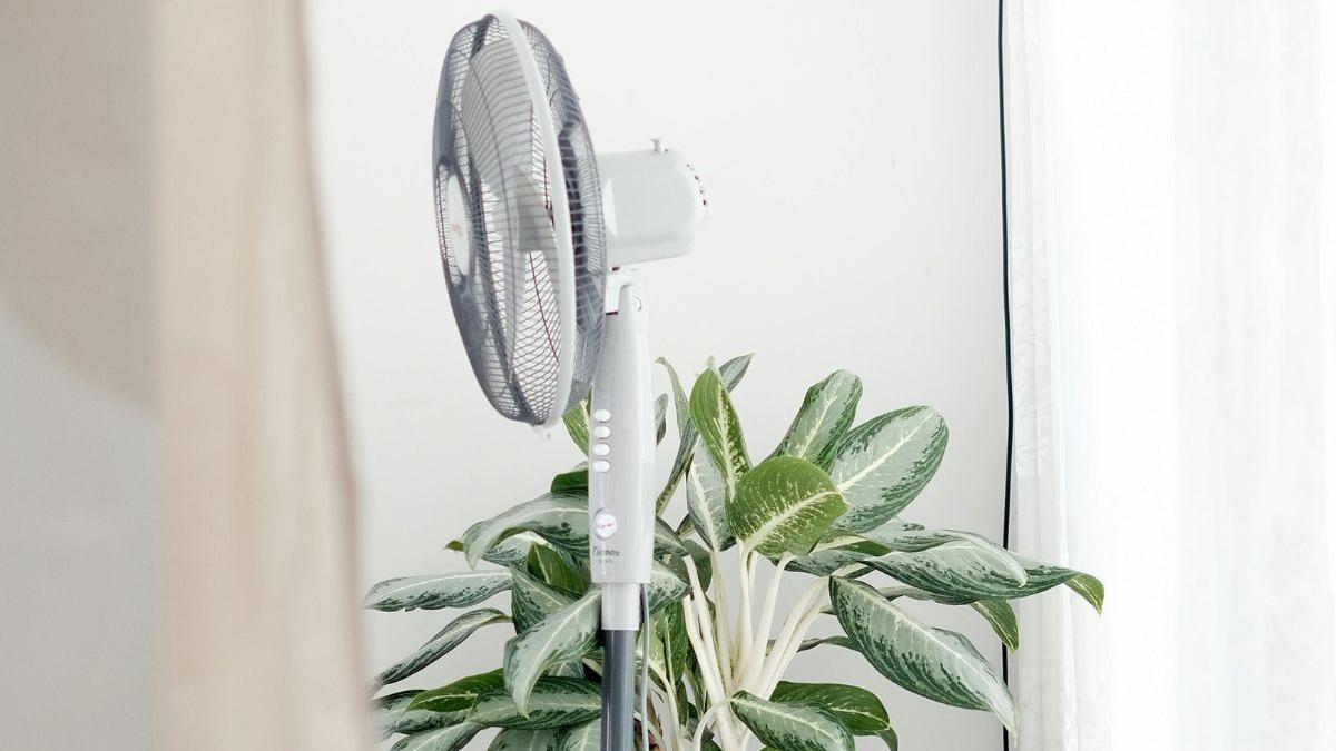 Adiós al calor gracias a este ventilador que refresca tu casa en minutos