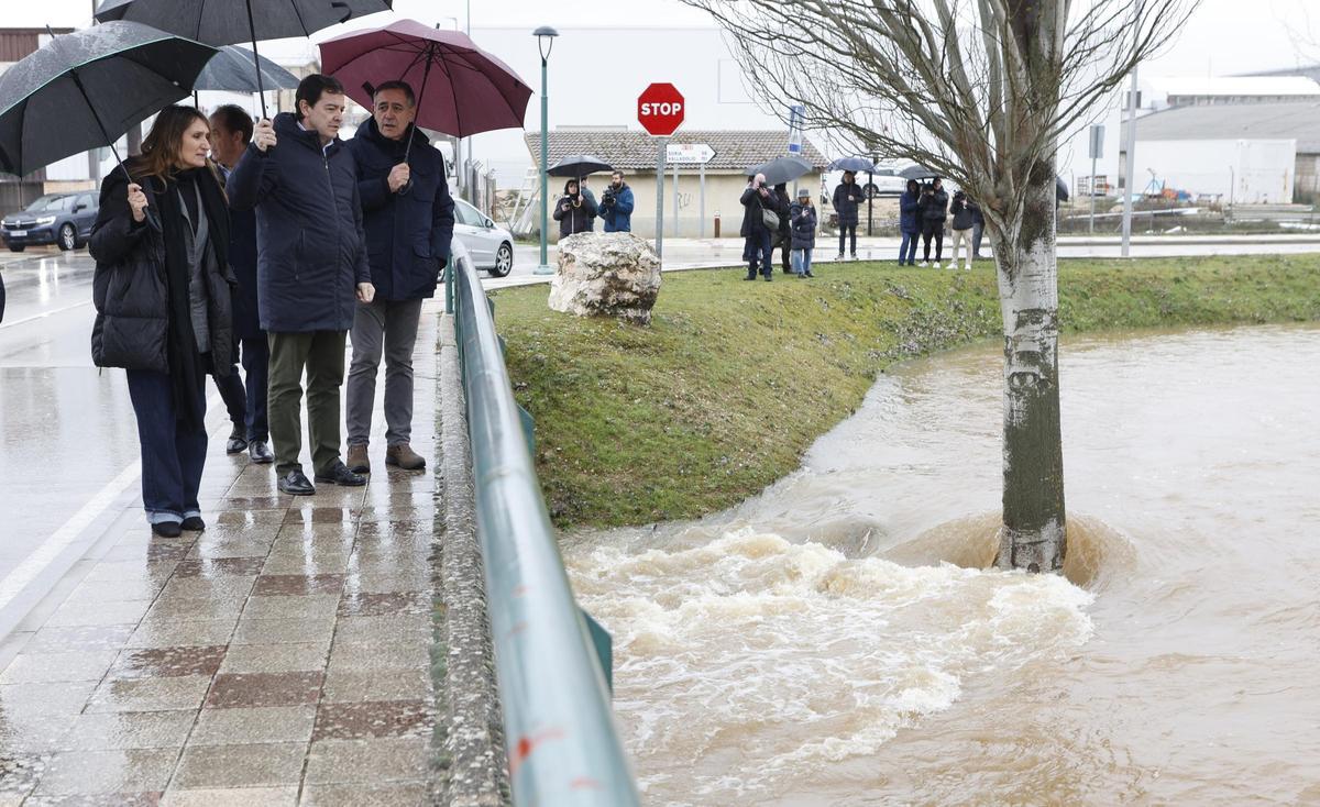 Mañueco y otras personalidades contemplan el río Ucero, en Burgo de Osma, Soria.