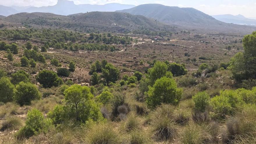 El Consell aprueba el impacto ambiental de la planta solar que afecta a Elda, Petrer y Salinas