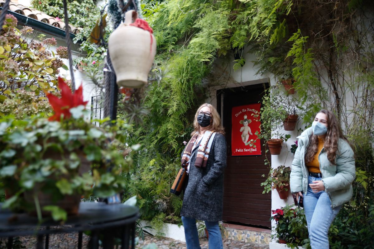 Los patios de Navidad derrochan brillo e ilusión en su día de apertura