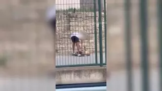 Un vídeo viral en Instagram y X destapa un caso de maltrato animal en el municipio catalán de Calaf | Vídeo