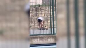 Un vídeo viral en Twitter e Instagram ayuda a destapar un caso de maltrato animal en Calaf