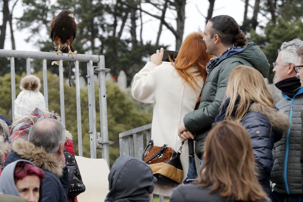 La tormenta de agua que se desató a media tarde obligo a cerrar de manera precipitada la celebración en Baiona y suspender la representación del hito histórico.