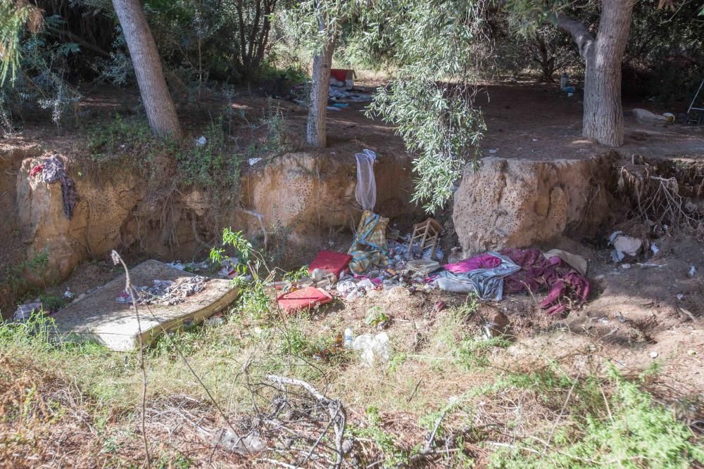 Abandono en la zona del Palmeral de San Gabriel