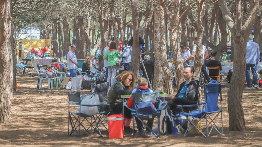 El Ayuntamiento de Torrevieja autoriza la acampada de 320 tiendas de campaña en el límite del Parque Natural en La Mata