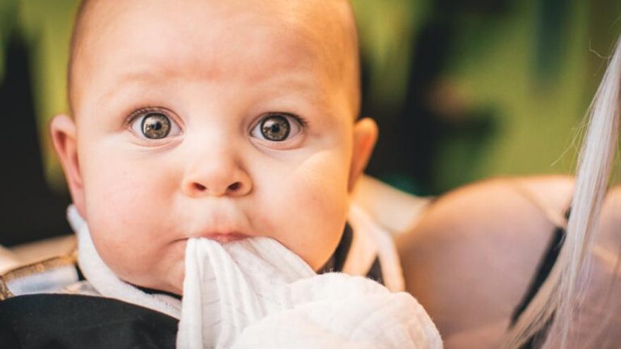 Las bacterias influyen en la forma en que los bebés perciben y experimentan el miedo