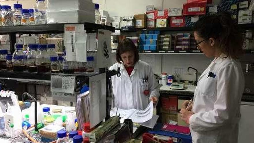 Investigadores del IPLA, en un laboratorio.