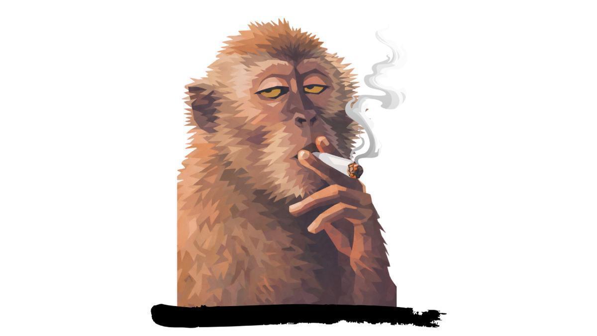 La teoría evolutiva del mono drogado