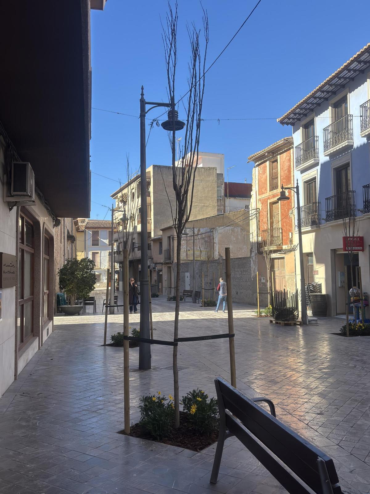 Nuevos ejemplares plantados en la calle del Carmen de Mutxamel