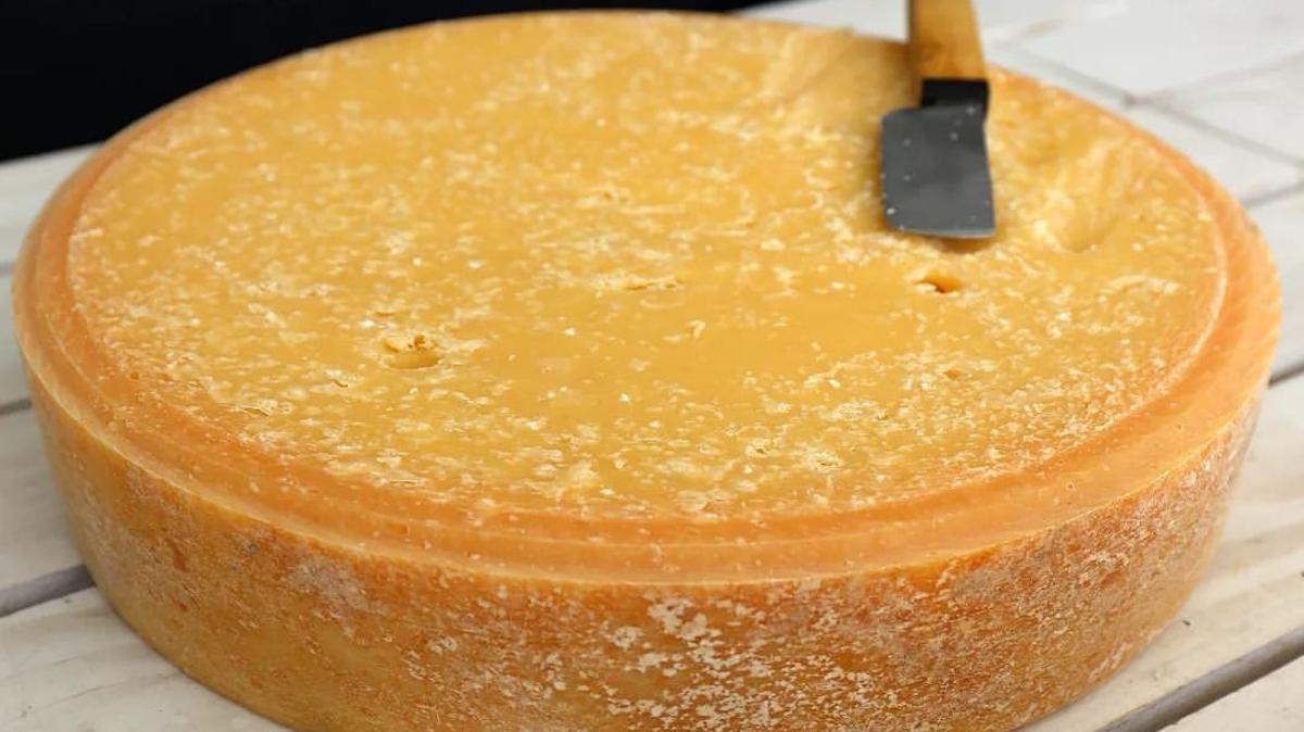 El queso gallego Galmesan.