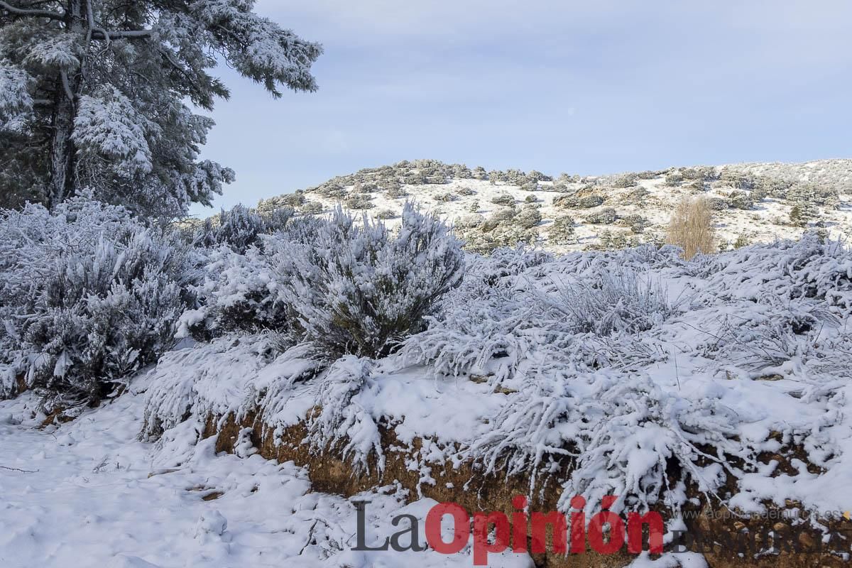 Descubre dónde queda acumulación de nieve en la Región de Murcia