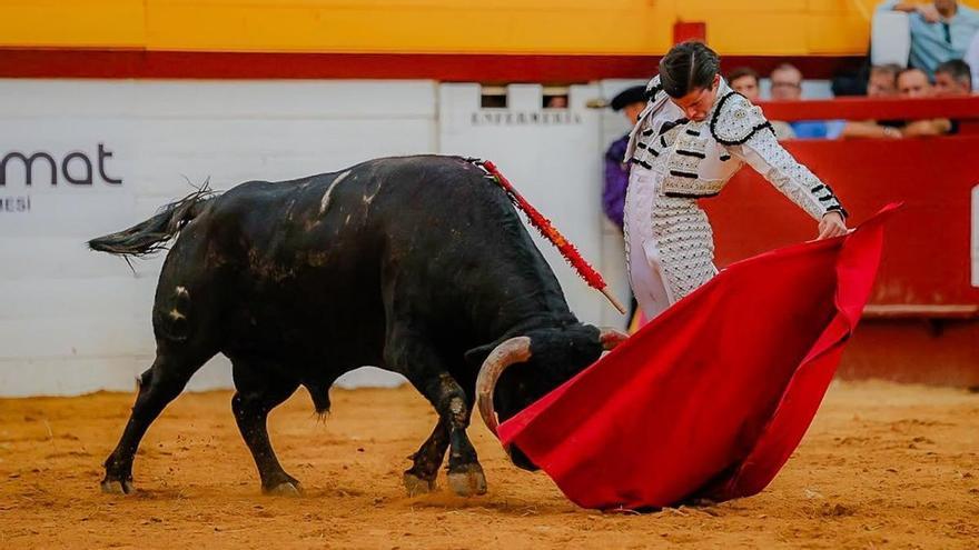 Algemesí estrena la 'Setmana de Bous' con su plaza ya declarada BIC y Alberto Donaire firma los mejores muletazos