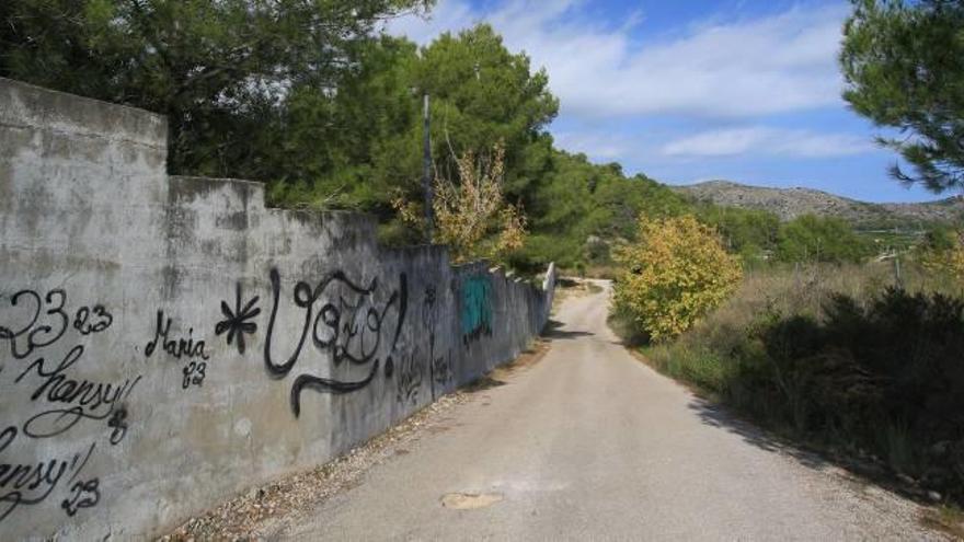 Gandia no podrá construir en la Banyosa el albergue de animales abandonados