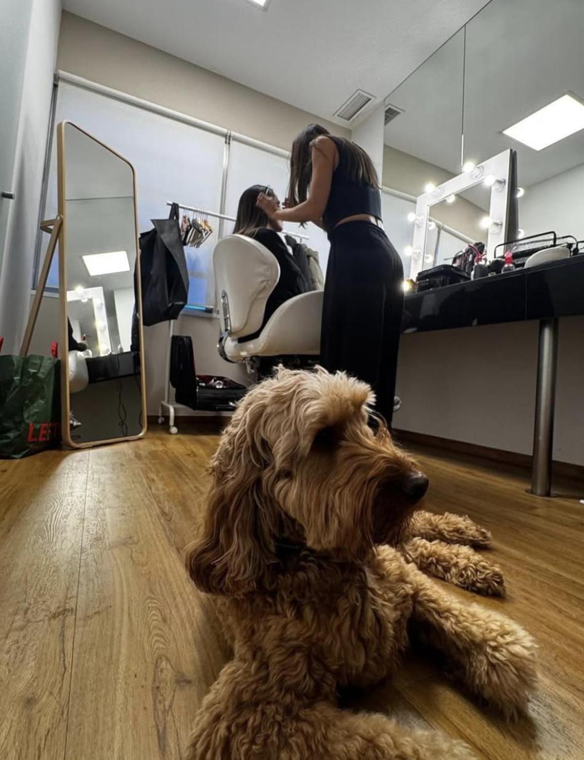 Malú se lleva a su perro Curro a todos lados