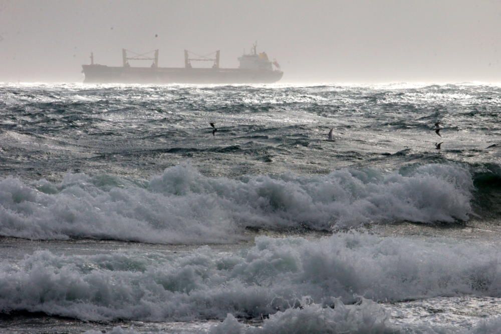 Temporal de viento y lluvia en Málaga