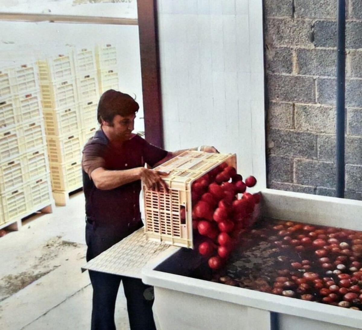 Manuel Vázquez Gimón, fundador y presidente del Grupo Conesa, en la primera campaña de la industria en 1976.