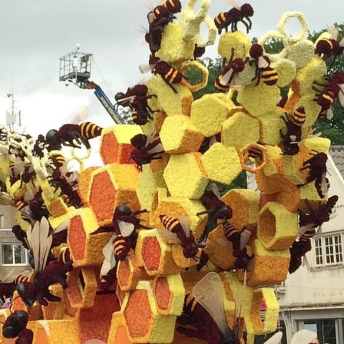 Batalla de Flores holandesa