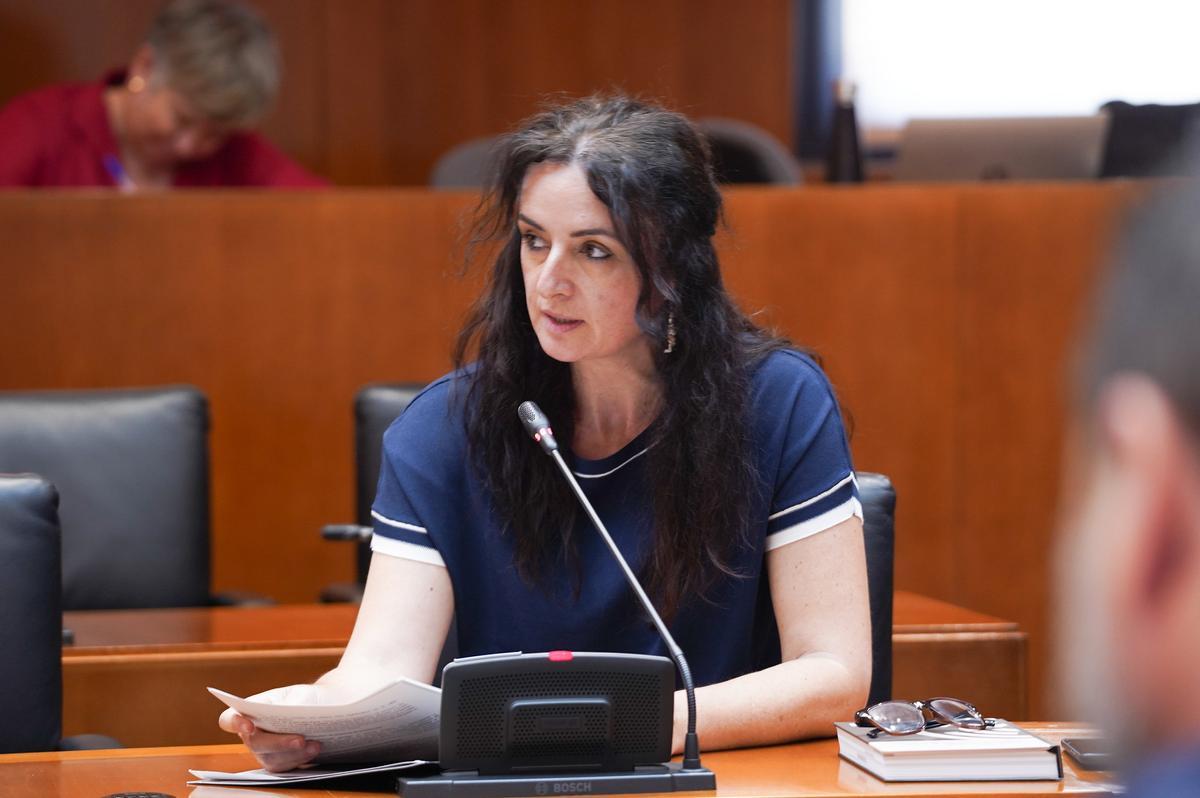 Marta Abengochea, portavoz de IU en las Cortes de Aragón.