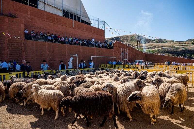 Fiesta de la Lana en Caideros 2022