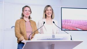 Els Comuns demanen a ERC i al PSC que donin suport a la llei per posar límit als pisos turístics