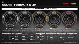 Los neumáticos para los test de Baréin