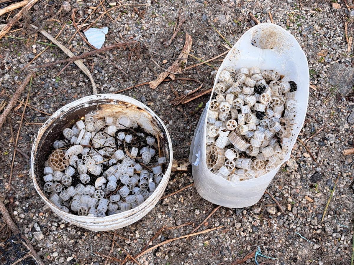 Biosoportes de depuradora.