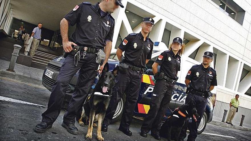 La Unidad de Guías Caninos de la comienza con seis perros