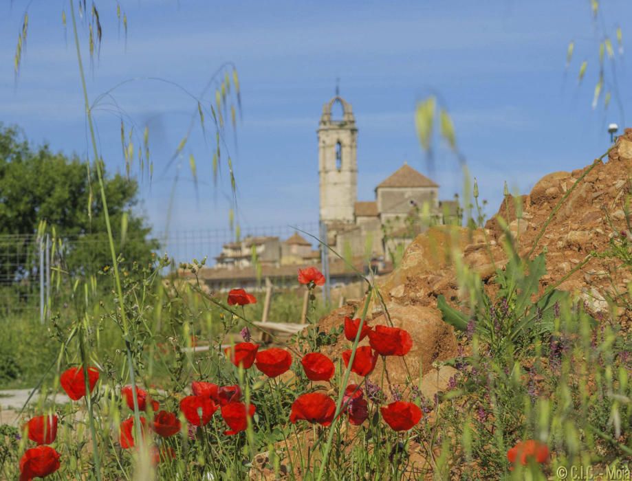 Matí de primavera a Moià.