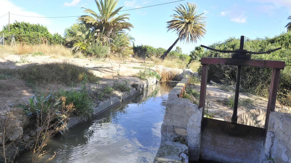 La acequia donde apareció el cadáver de la funcionaria de Elche en la partida de La Hoya