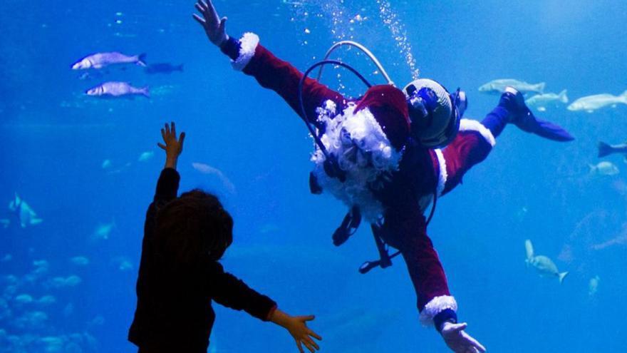 Papá Noel buceador saluda a una niña desde el acuario.