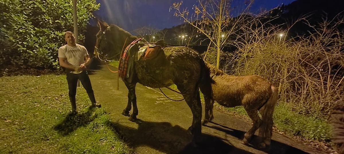 José Luis Zalón, junto a su mula y al caballo, tras el rescate.