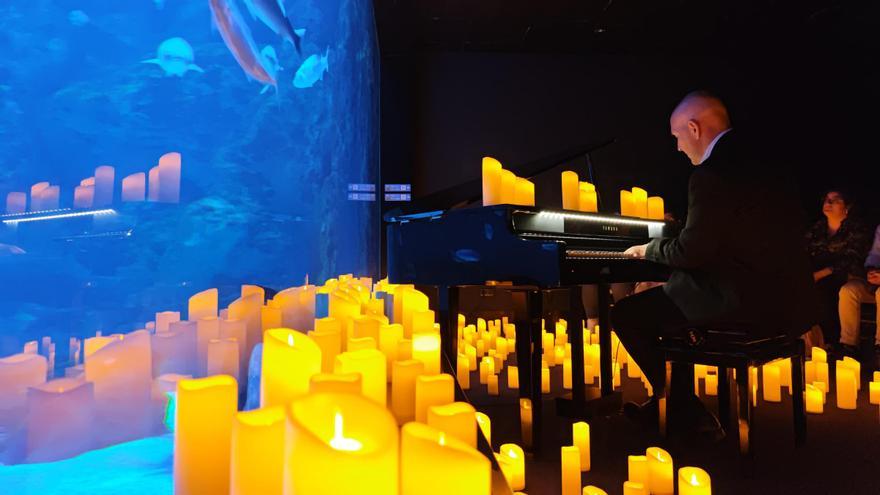 Concierto &quot;A la luz de las velas&quot; en el Acuario de Gijón: de las grandes bandas sonoras del cine a películas Disney