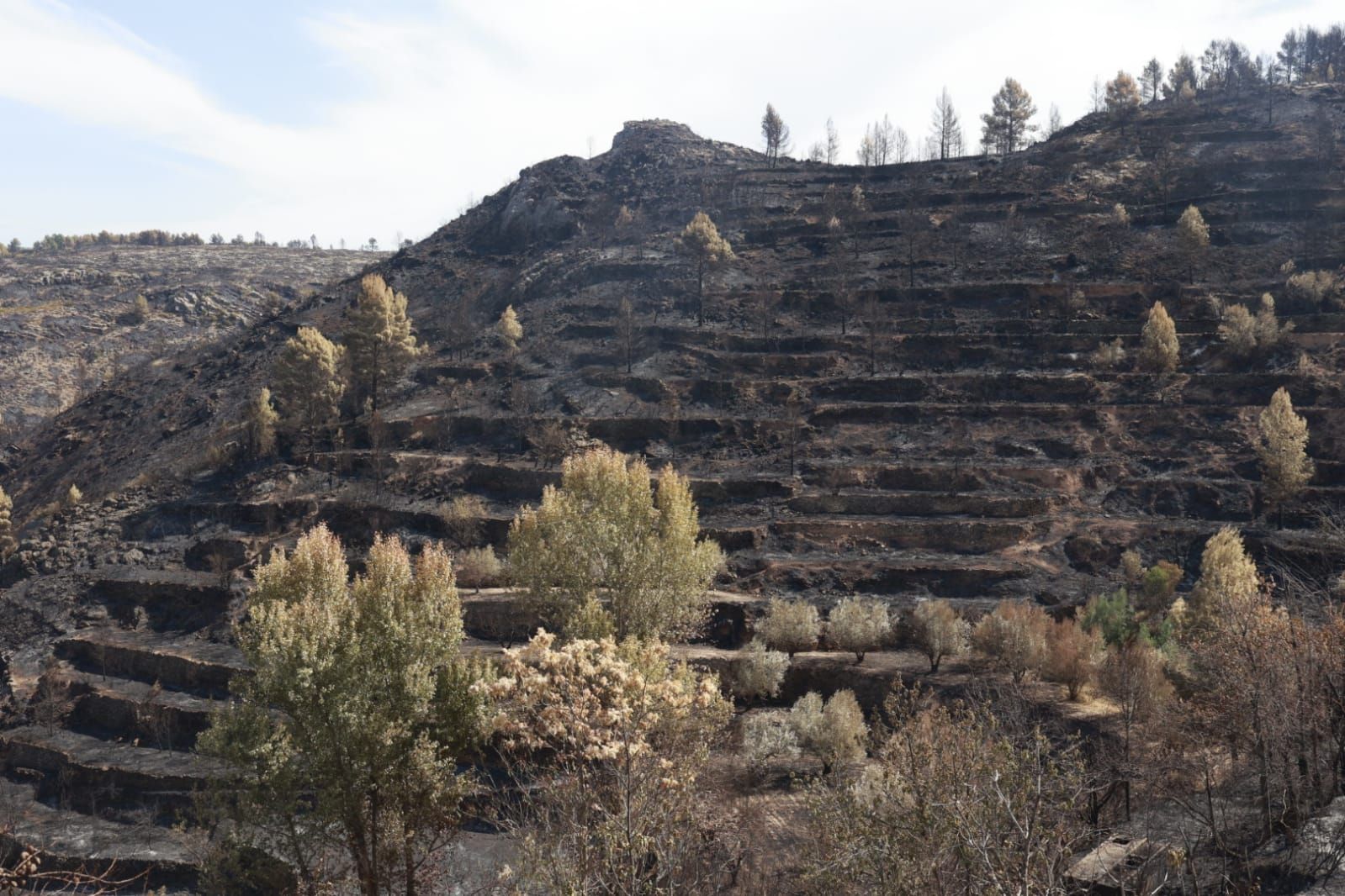 Las consecuencias del incendio de Bejís en Teresa