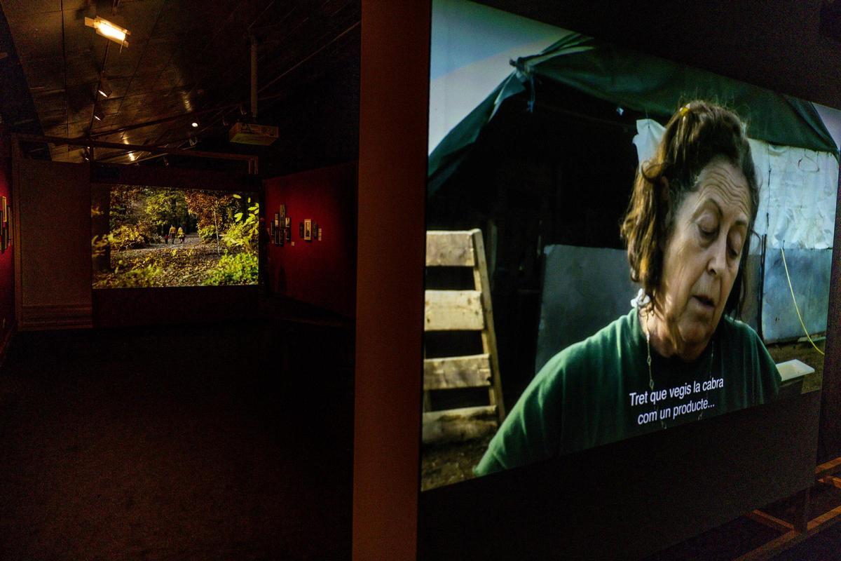 Exposición sobre Agnès Varda: Fotografiar, filmar, reciclar en el CCCB