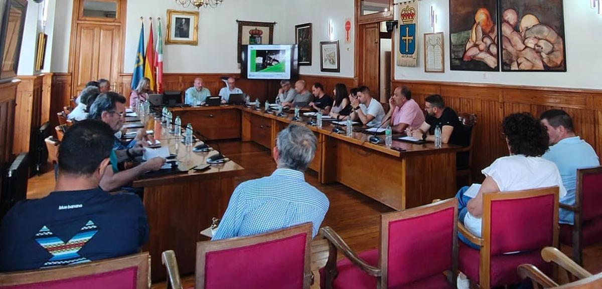 La reunión del comité de la velutina, en Aller.