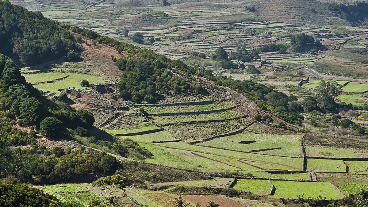 Paisaje Protegido de Ventejís en El Hierro. | | E.D.