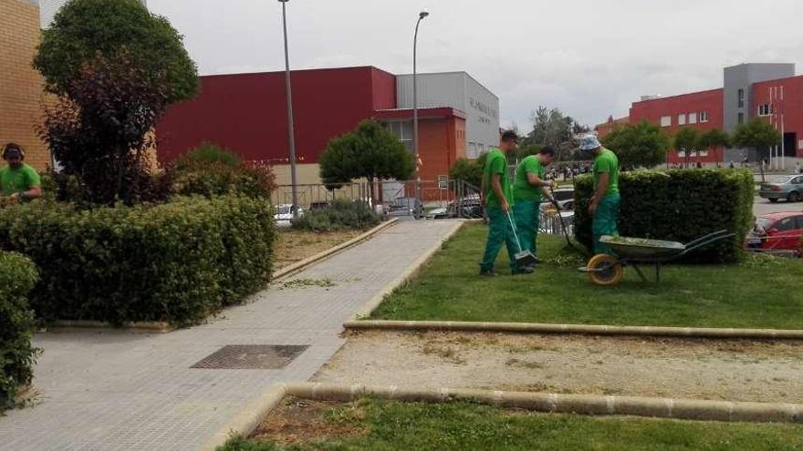 A izquierda y derecha, los trabajadores que participan en el programa mixto de formación y empleo arreglan varias zona ajardinadas en el municipio de Morales del Vino.