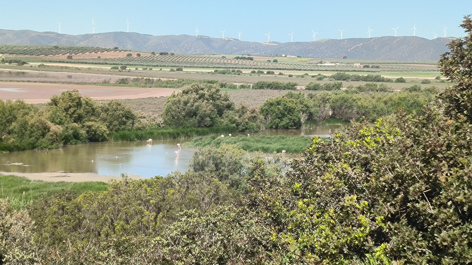 Acto de conmemoración de los 40 años de la Laguna de Fuente de Piedra como Reserva Natural.