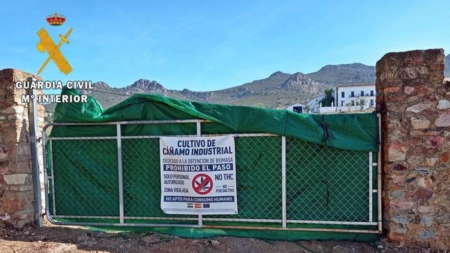 Puerta de la finca de cáñamo industrial donde se produjo el robo.