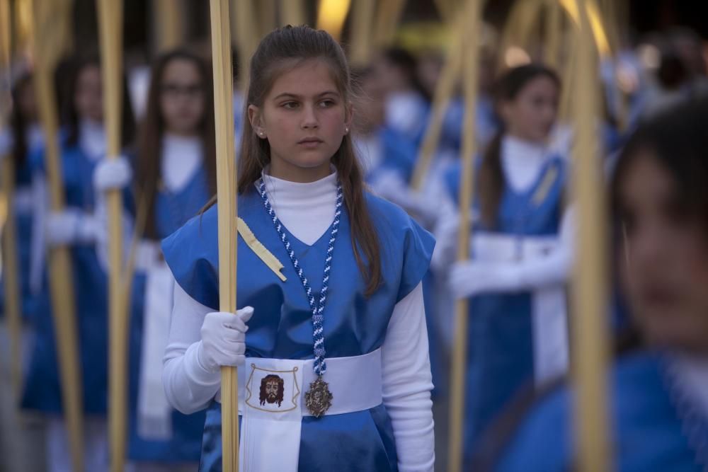 Domingo de Ramos en Elche