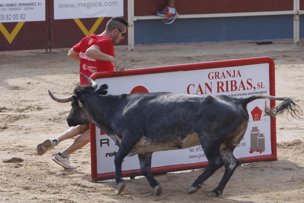 Correbou de Vidreres