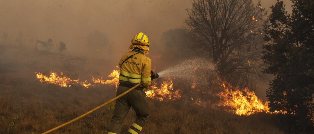 Efectivos de bomberos durante el incendio de la Sierra de la Culebra, a 18 de junio de 2022, en Zamora, Castilla y León (España). Este incendio, que continúa en nivel 2 de riesgo, ha calcinado ya cerca de 20.000 hectáreas en el oeste de la provincia y ha