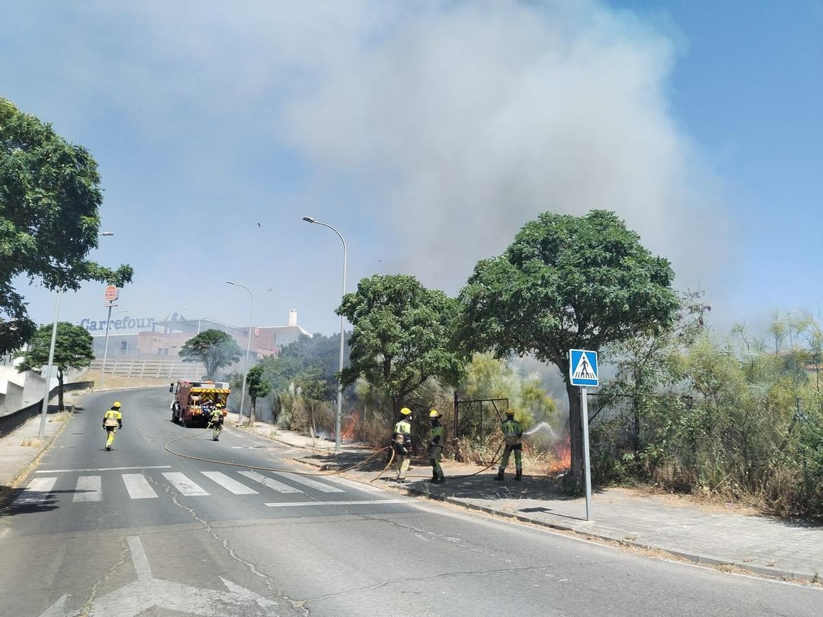 Fotogalería | Incendio de pastos en Plasencia