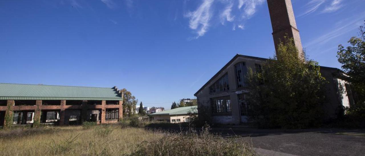 Defensa tasará la fábrica de La Vega, ya descontaminada, como terreno industrial