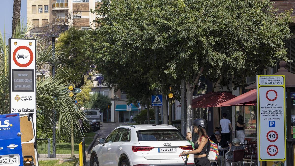 El Ayuntamiento de Castelló ha plantada más de 400 árboles en las zonas de bajas emisiones.