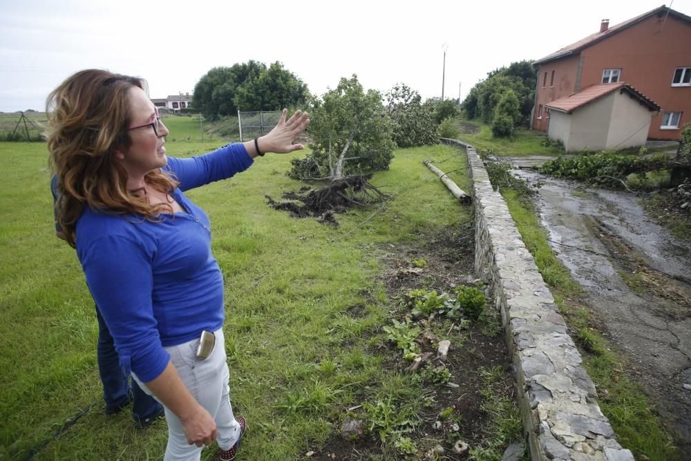 Los resultados del tornado en Ballota