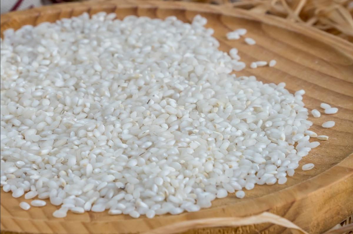 La variedad Albufera, con un grano de dureza media-alta, ideal para una paella o un arroz seco