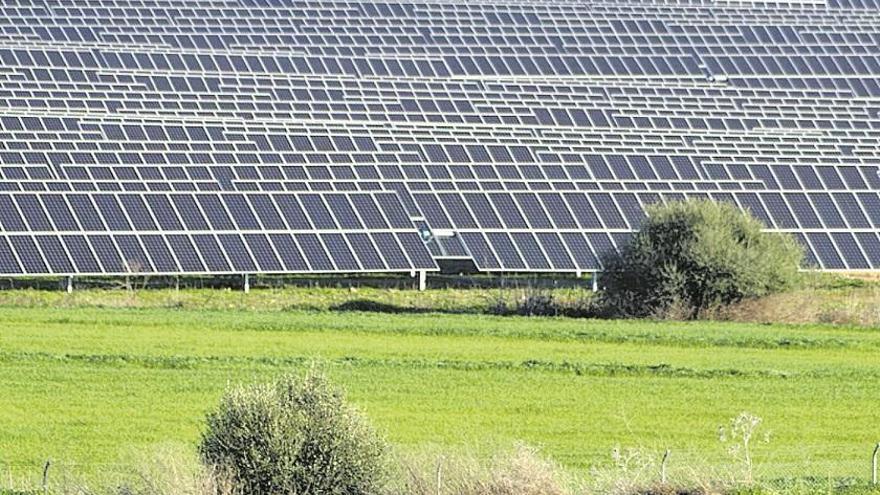 Alertan sobre el «peligro» de las plantas solares para la campiña