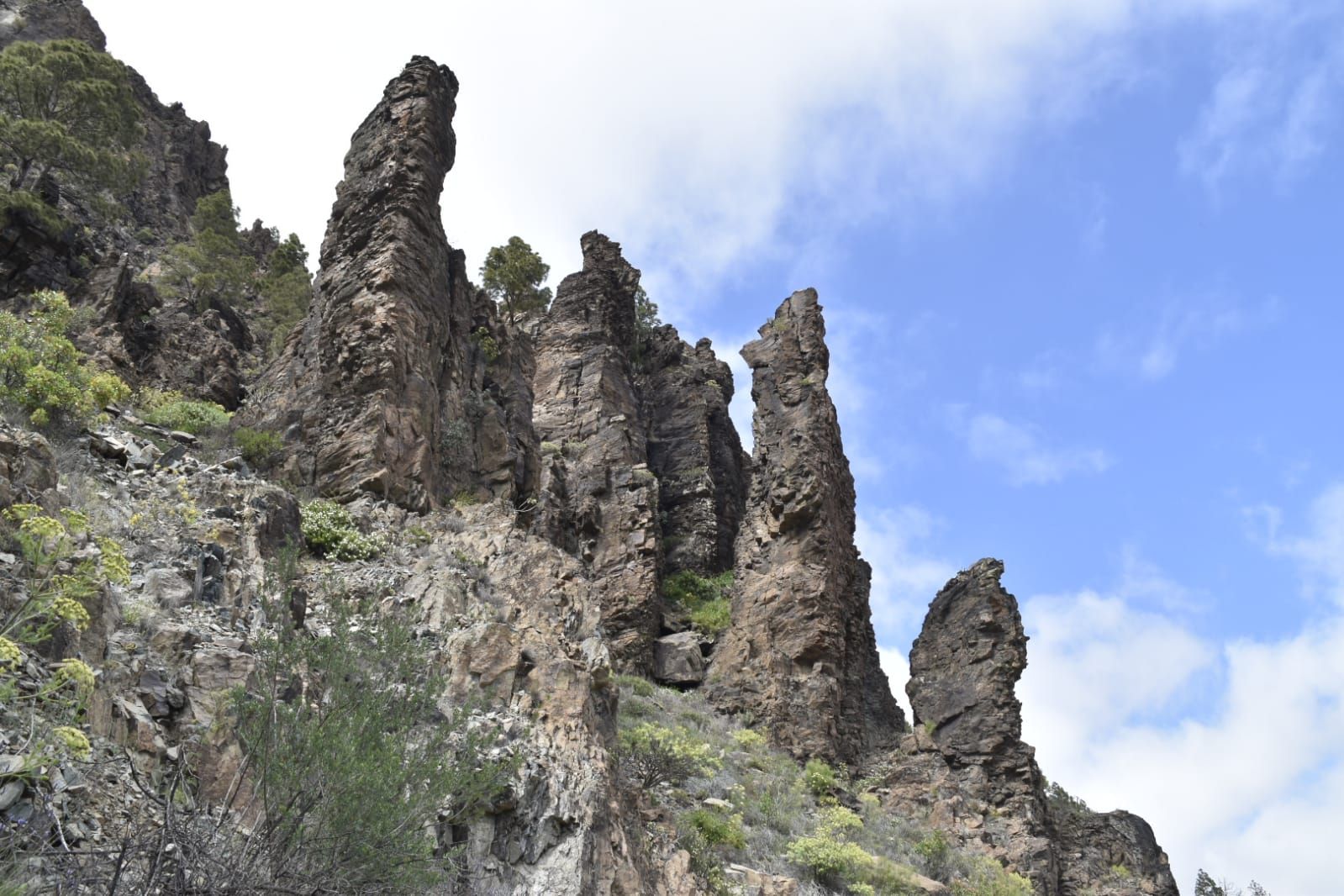 La primavera en Gran Canaria